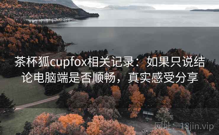 茶杯狐cupfox相关记录：如果只说结论电脑端是否顺畅，真实感受分享