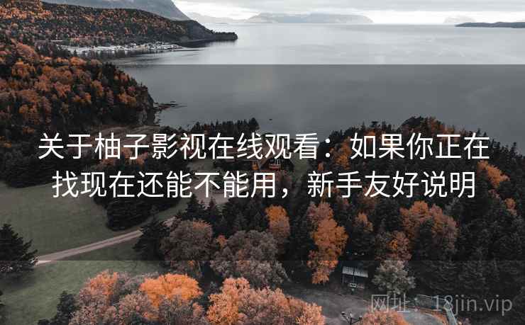 关于柚子影视在线观看:如果你正在找现在还能不能用,新手友好说明 关于柚子影视在线观看:如果你正在找现在还能不能用,新手友好说明