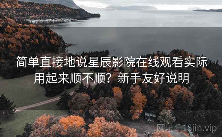 简单直接地说星辰影院在线观看实际用起来顺不顺？新手友好说明