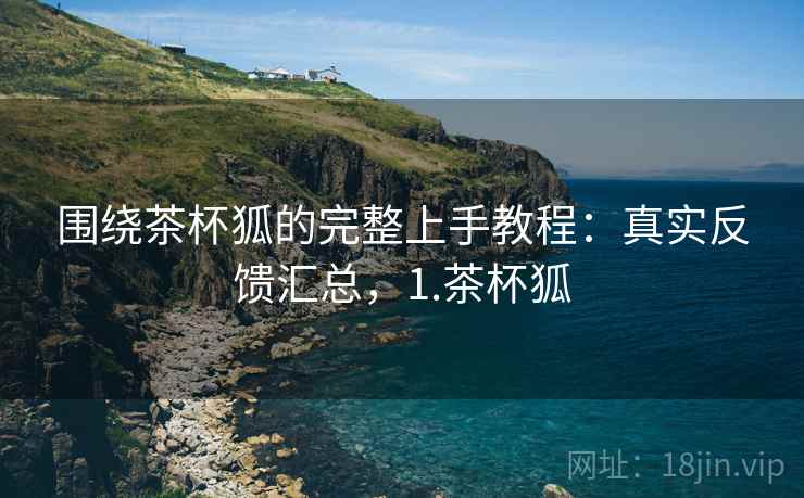 围绕茶杯狐的完整上手教程:真实反馈汇总,1.茶杯狐 围绕茶杯狐的完整上手教程:真实反馈汇总,1.茶杯狐