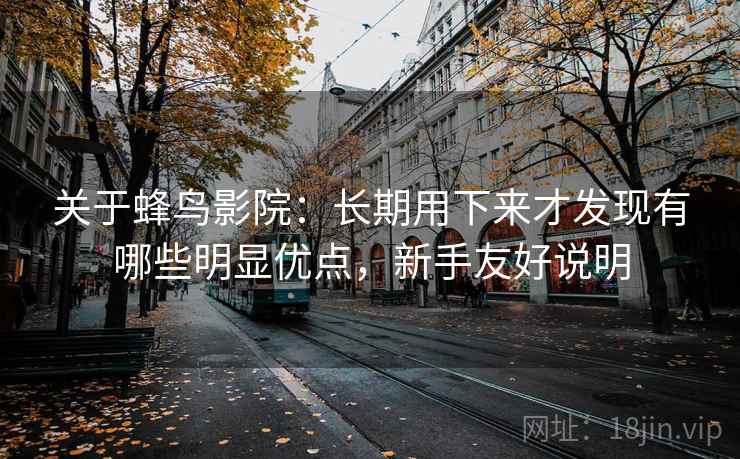 关于蜂鸟影院：长期用下来才发现有哪些明显优点，新手友好说明